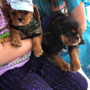 Meet your Posher, Cheryl